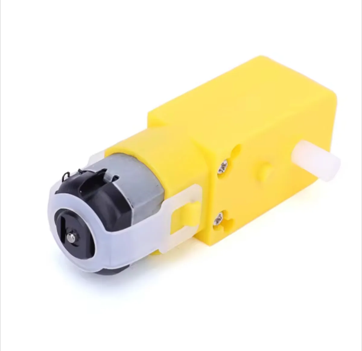 Dual Shaft TT Motor
